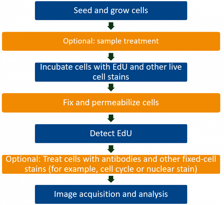 ClickTech EdU Cell Proliferation Kits for Imaging baseclick GmbH