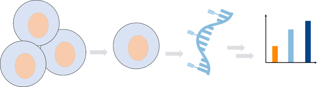Single-Cell Transcriptomics