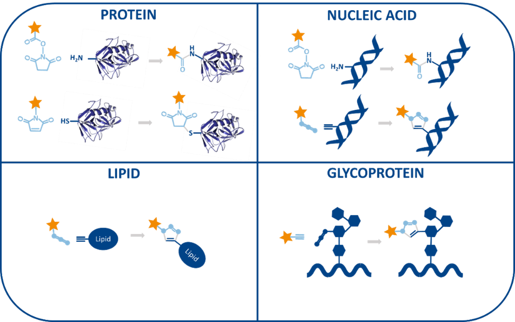 structure scheme