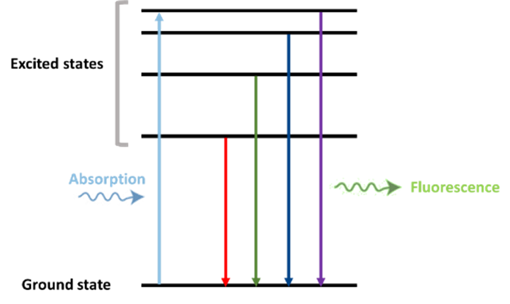 absorption and emission pathways