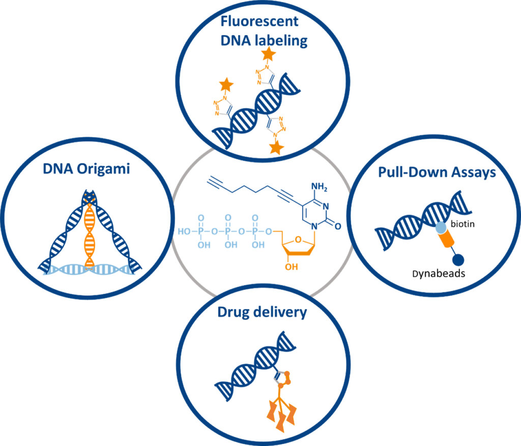 Applications of C8-Alkyne-dCTP