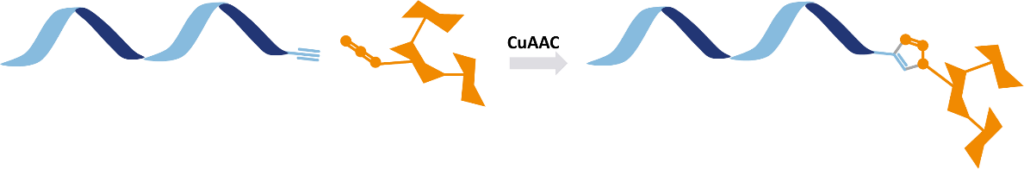 Azido-PEG4-Trimannose modified oligonucleotide
