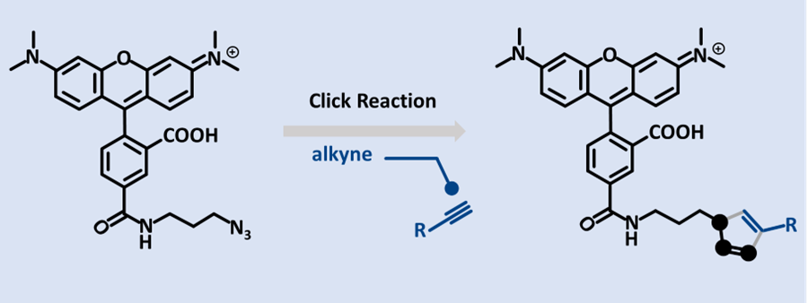 Copper catalyzed azide-alkyne cycloaddition (CuAAC)