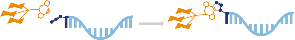 Tri-GalNAc-DBCO modified oligonucleotide