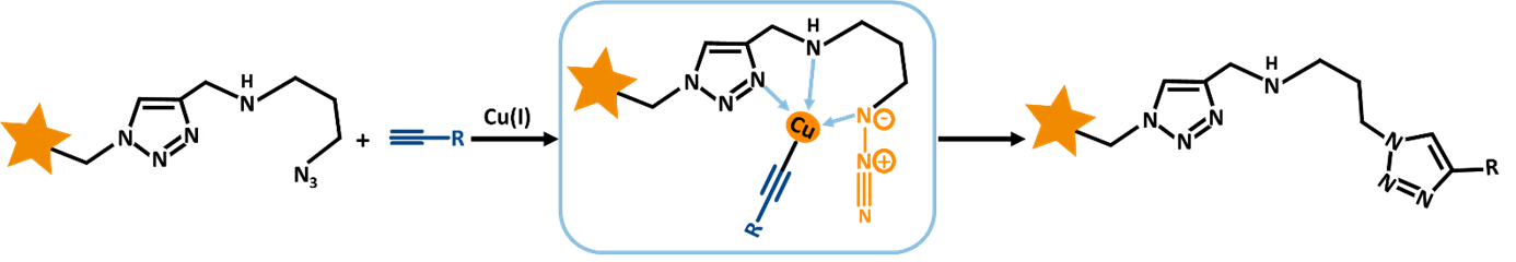AZDye 488 Azide Plus