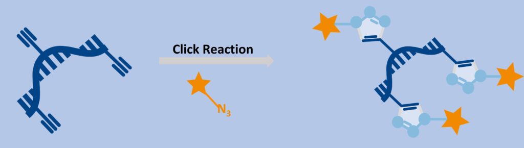 EU-mRNA Click