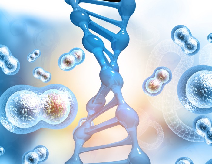 cell proliferation feature