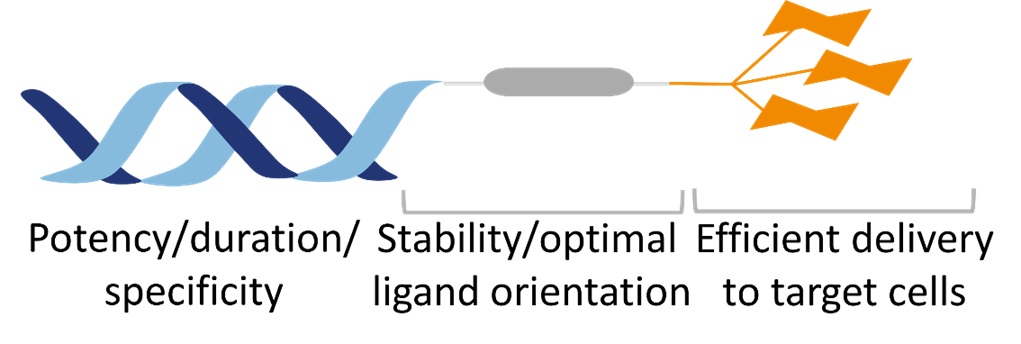 liver targeting reagent