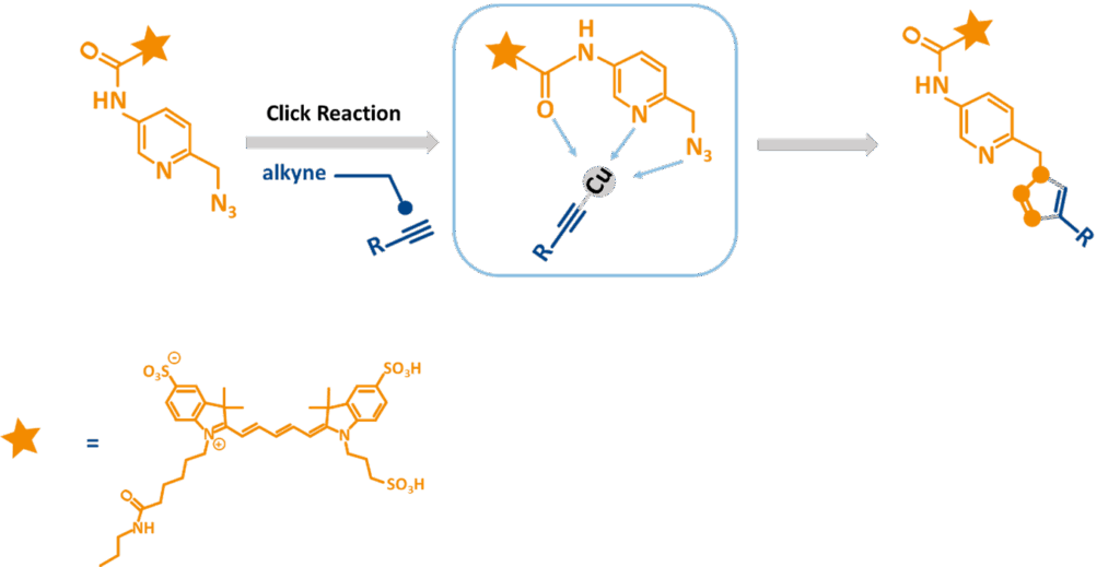 reaction scheme complexation of copper