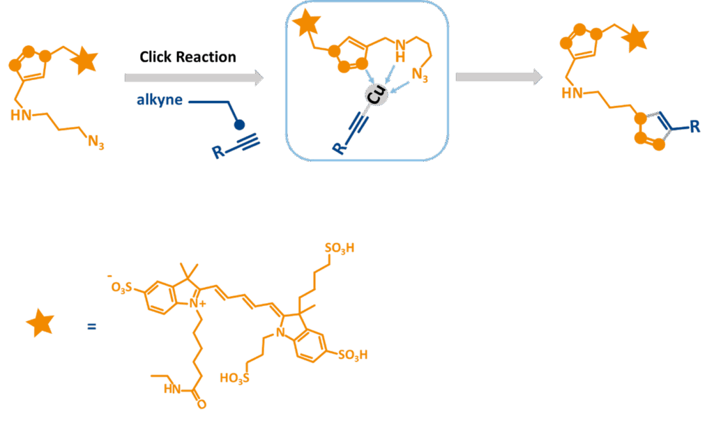 reaction scheme of enhanced complexation of copper