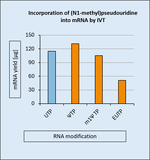 modified mRNAs in high yields and excellent quality