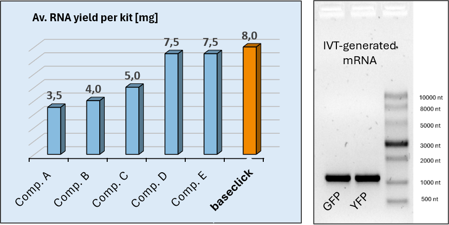 mRNA yield per IVT kit