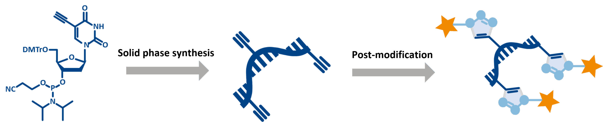 5-Ethynyl-dU-CE Phosphoramidite