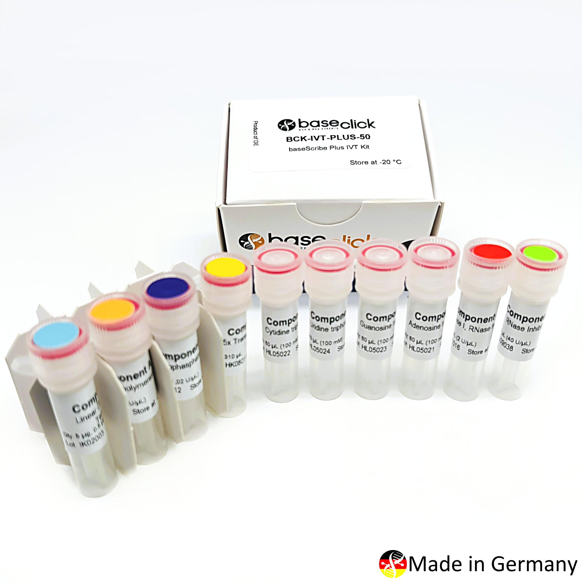 bck-ivt-plus-50